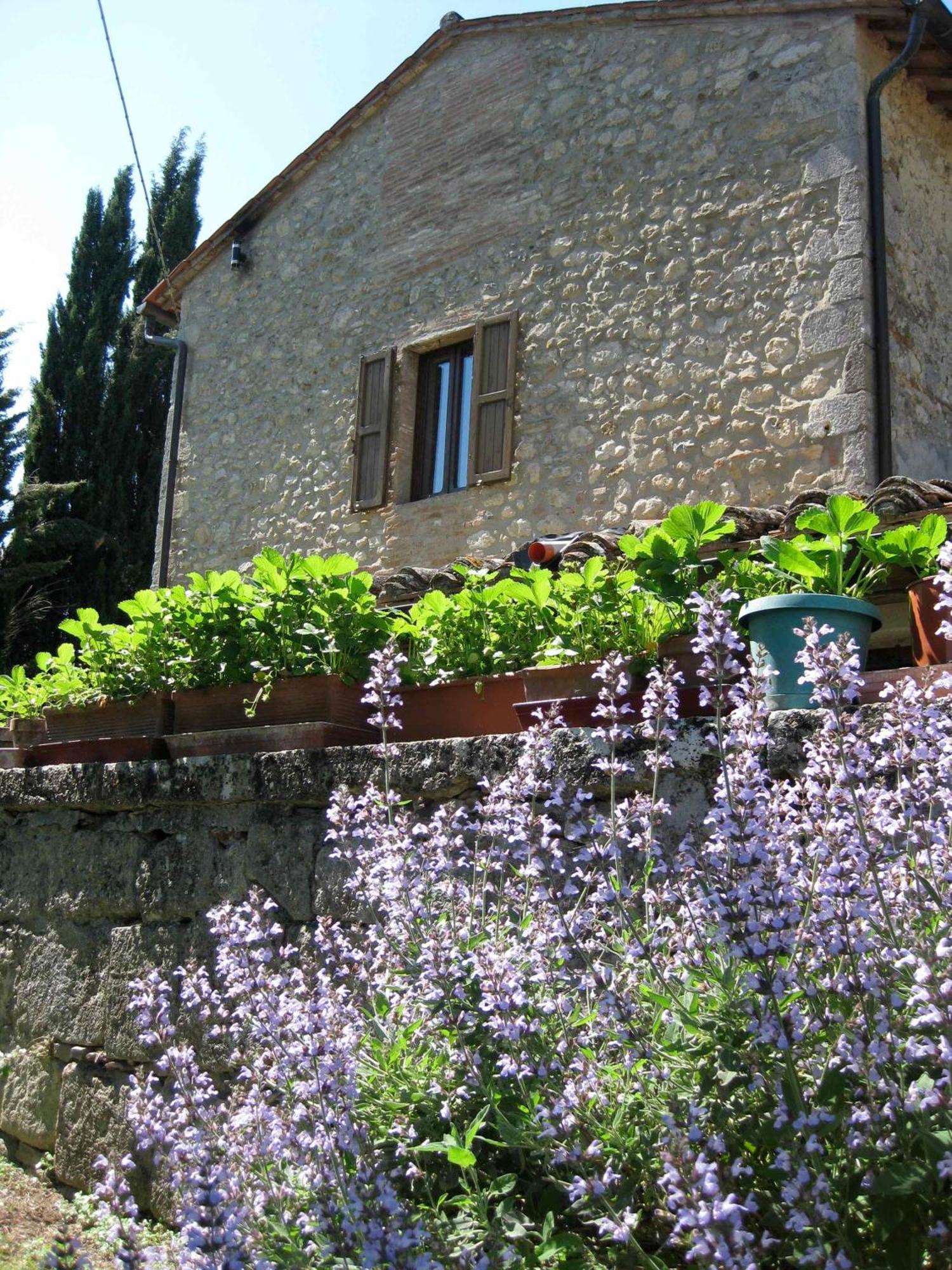 Agriturismo Il Caio Cetona Exterior foto