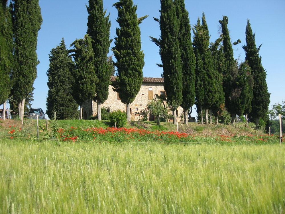Agriturismo Il Caio Cetona Exterior foto