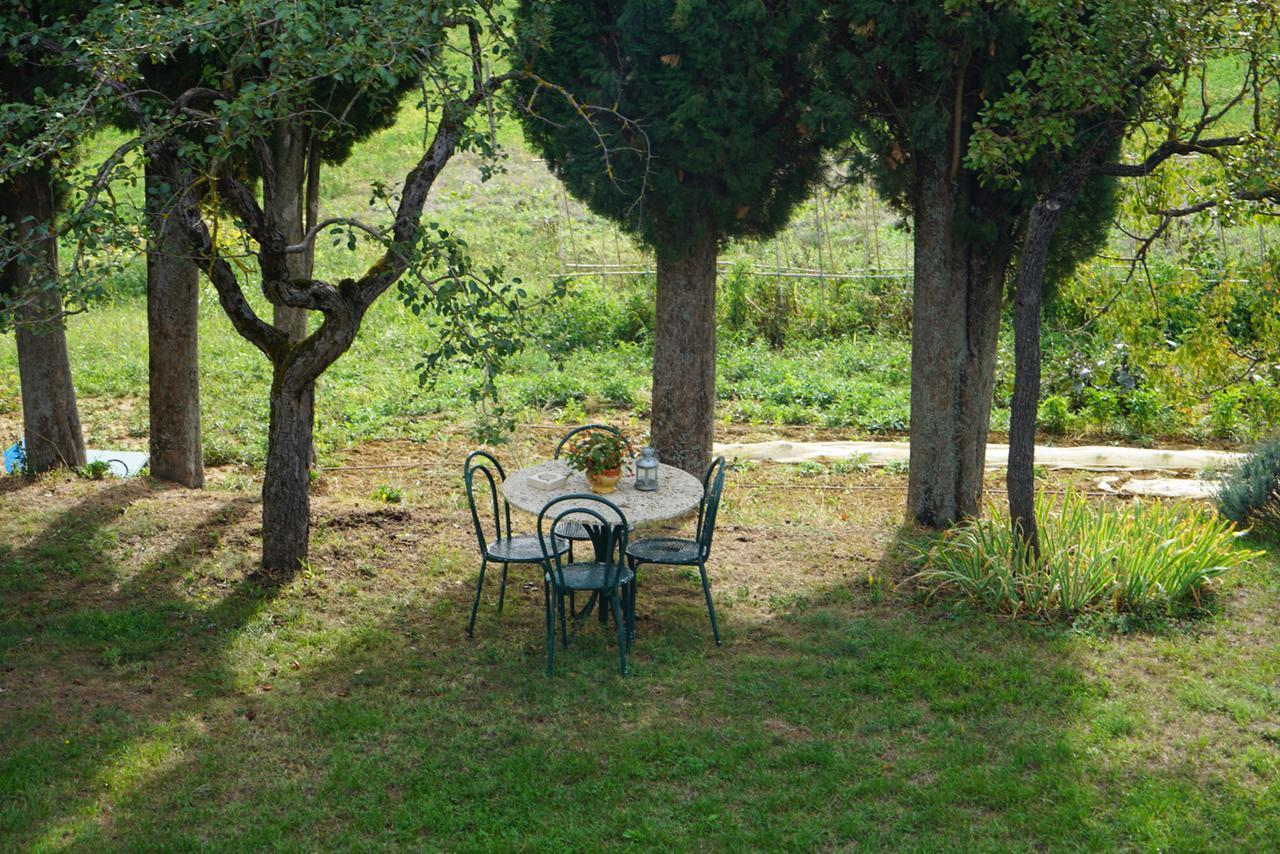 Agriturismo Il Caio Cetona Exterior foto